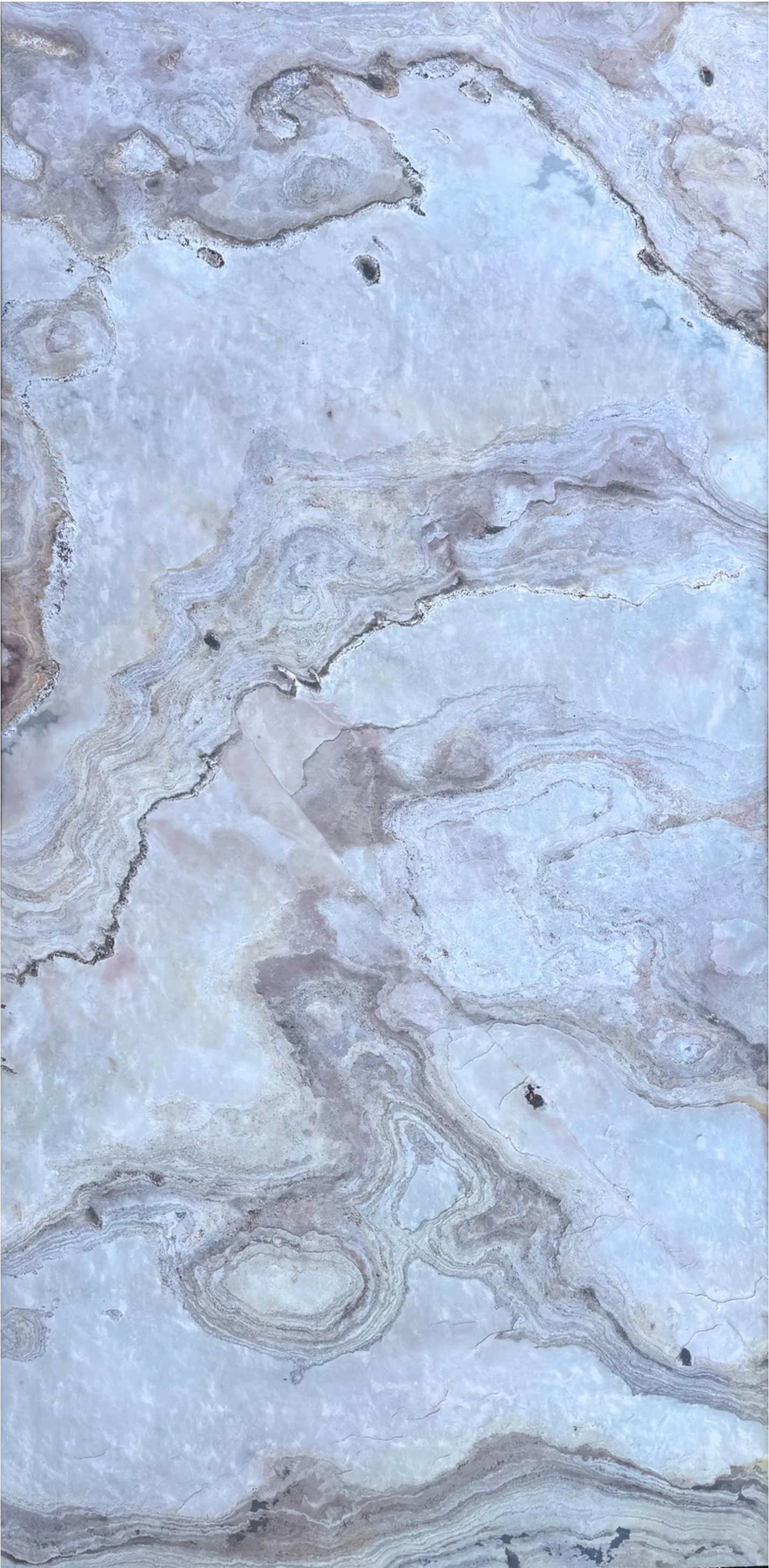 Sanjeevani White