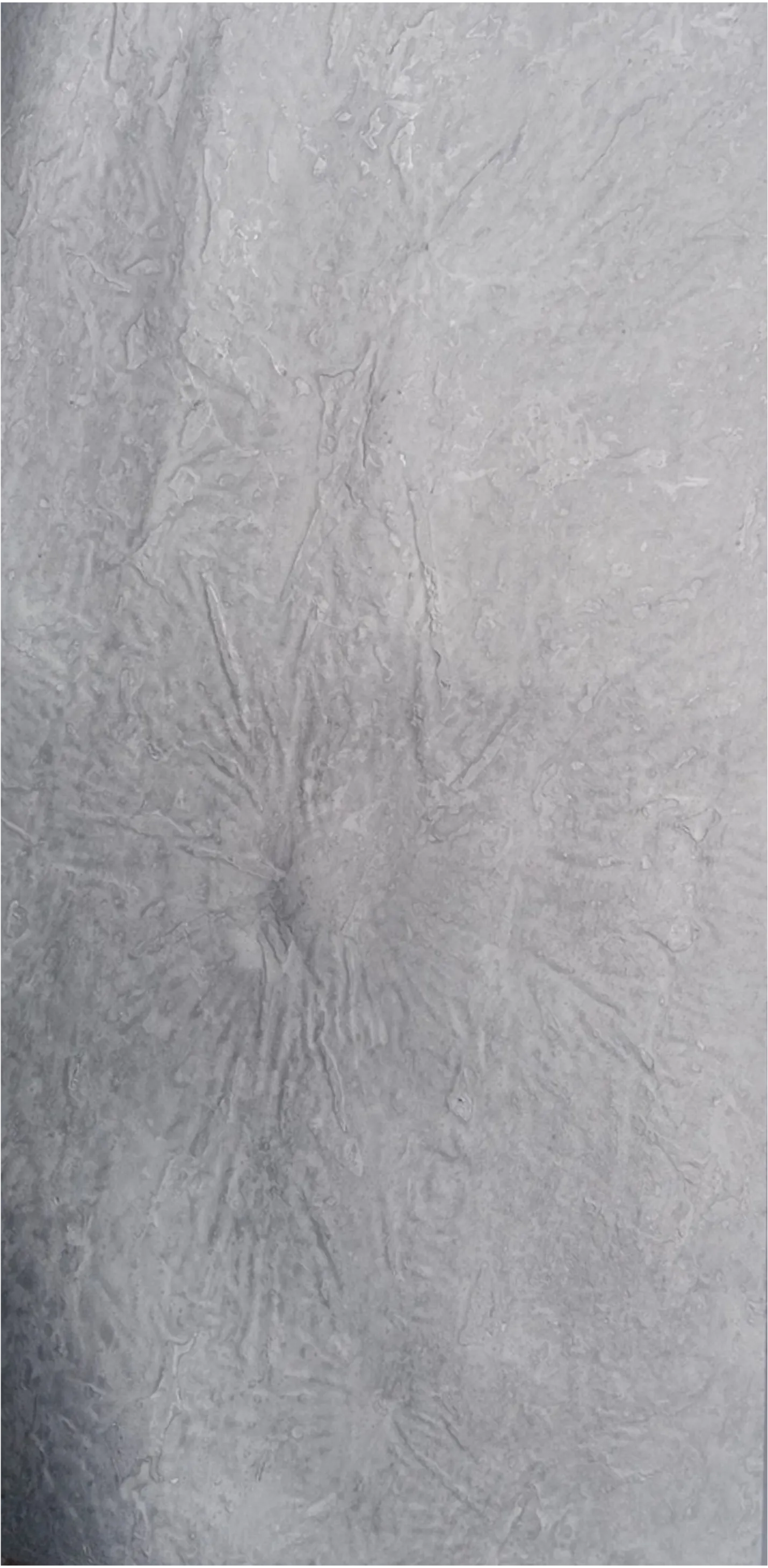 Metallic Silver