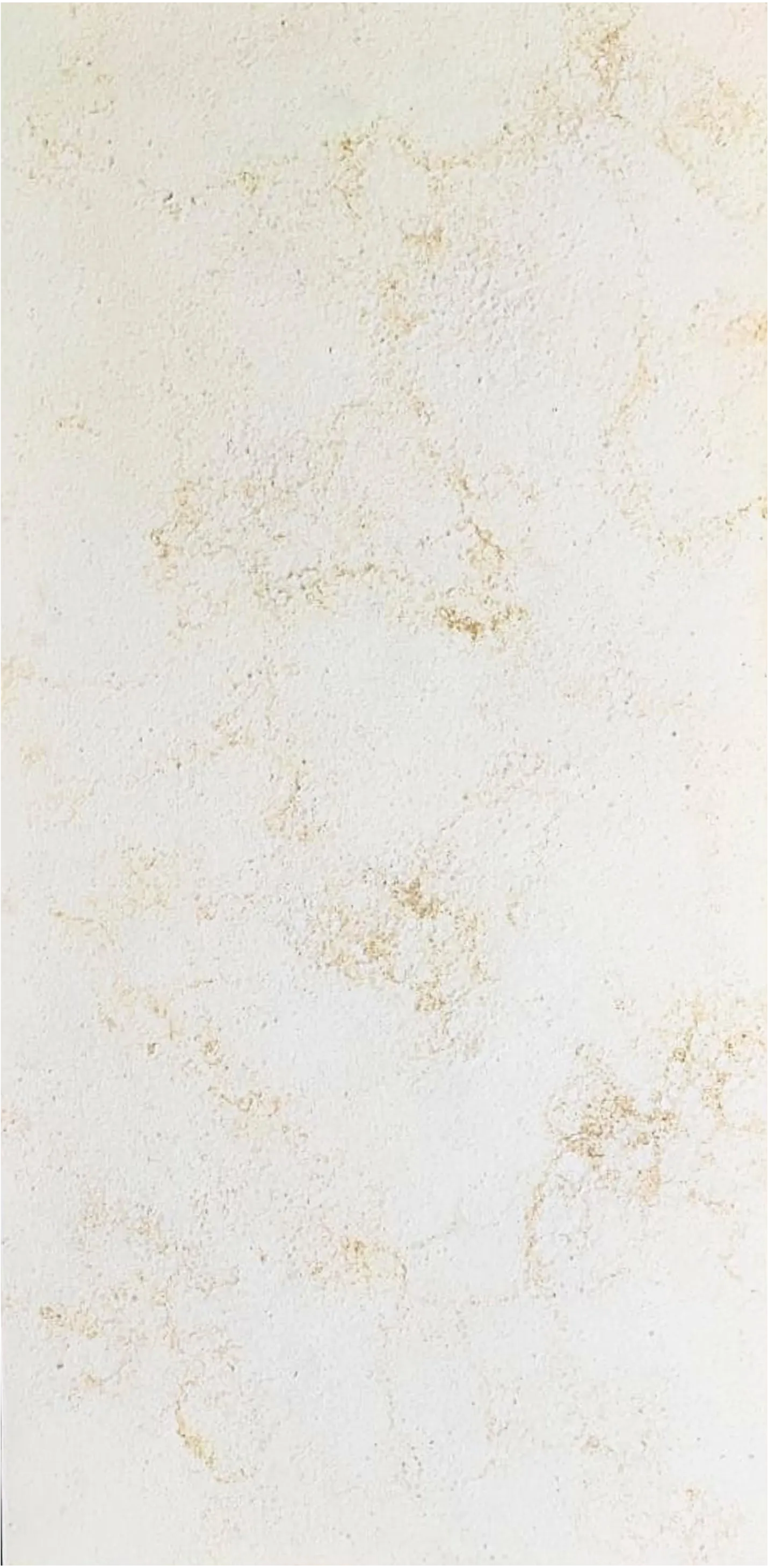 Atlantic White