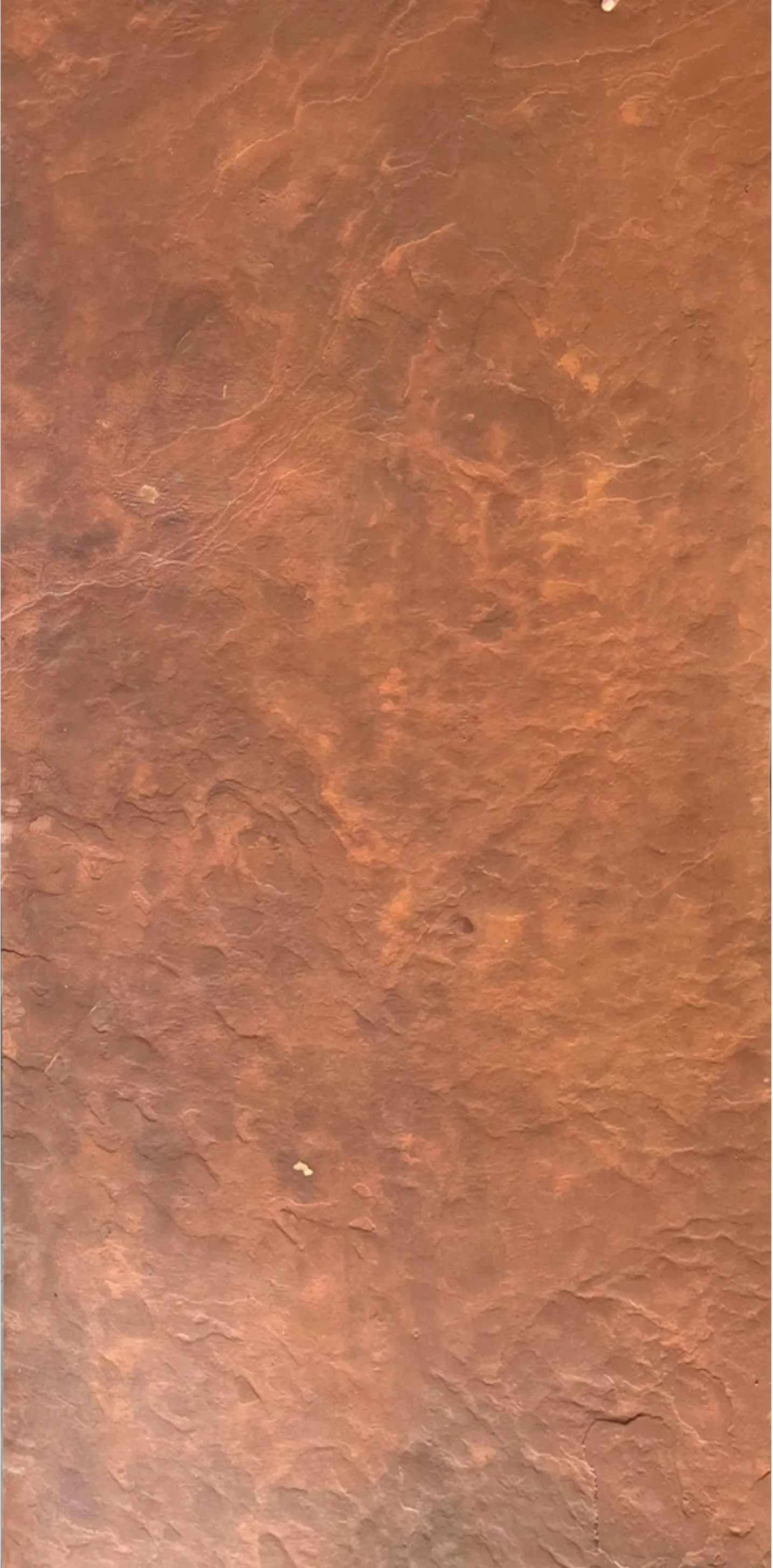 Metallic Rust