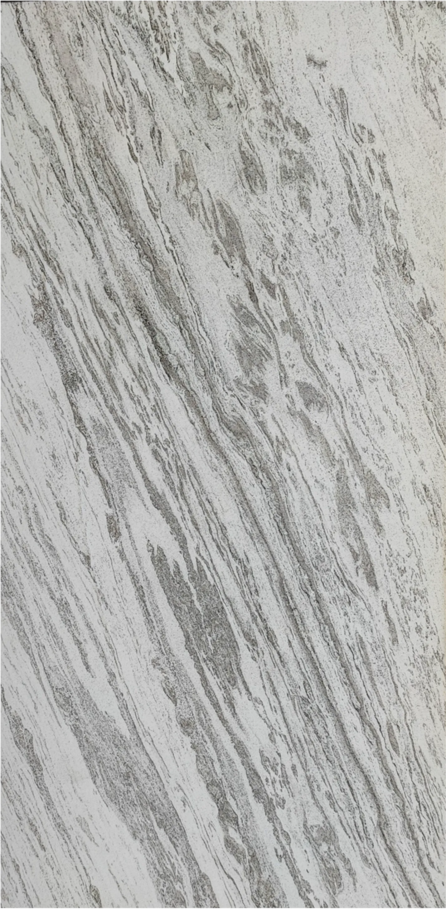 Himalaya White
