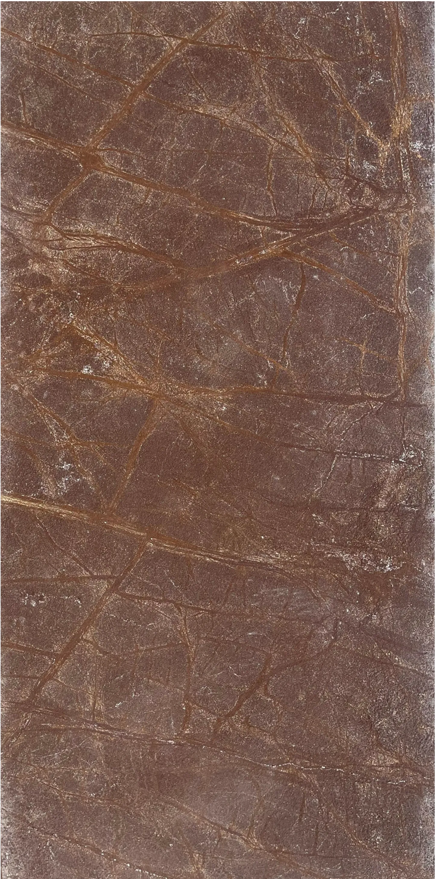 Rainforest Brown
