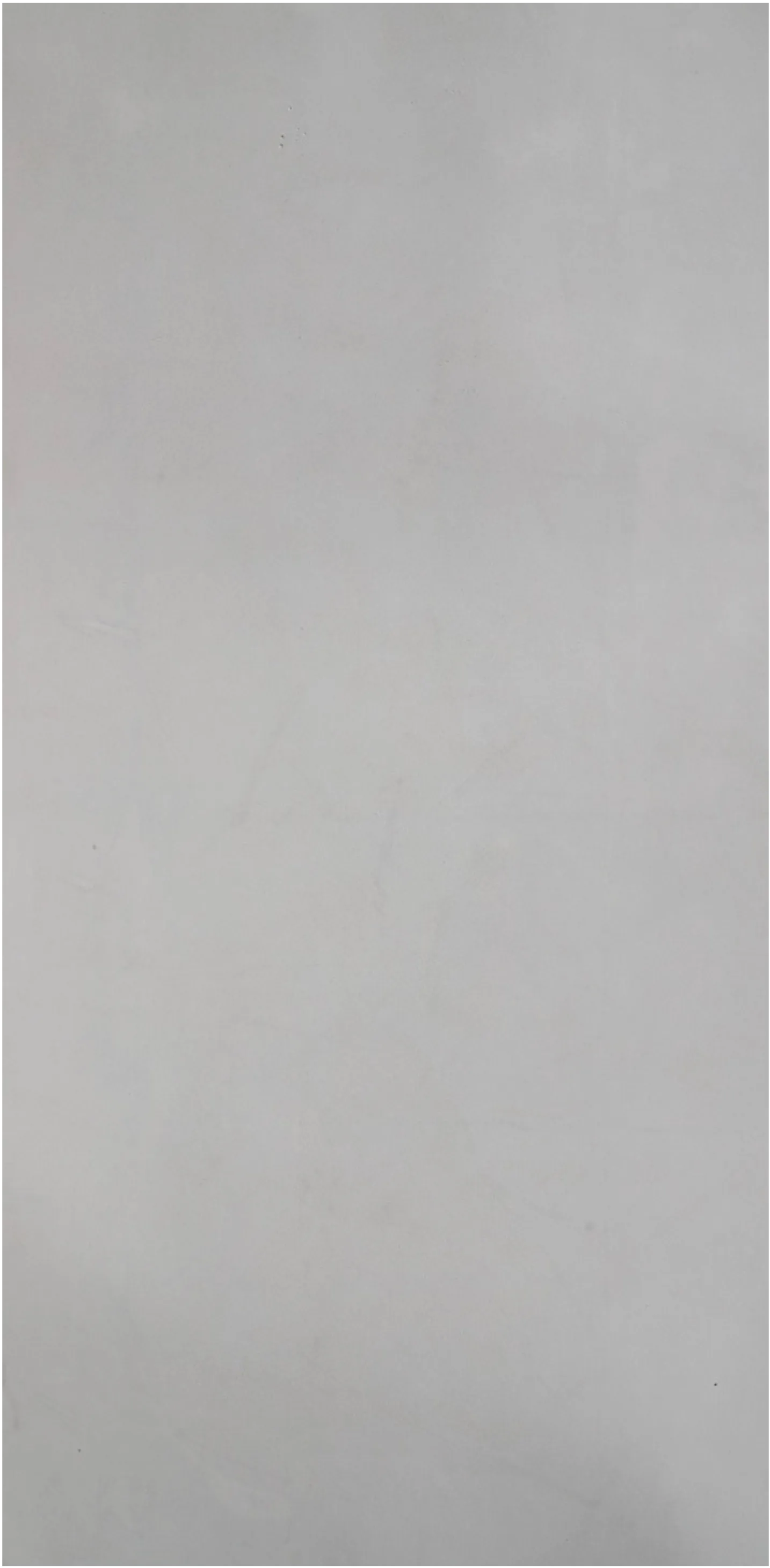 Light Concrete