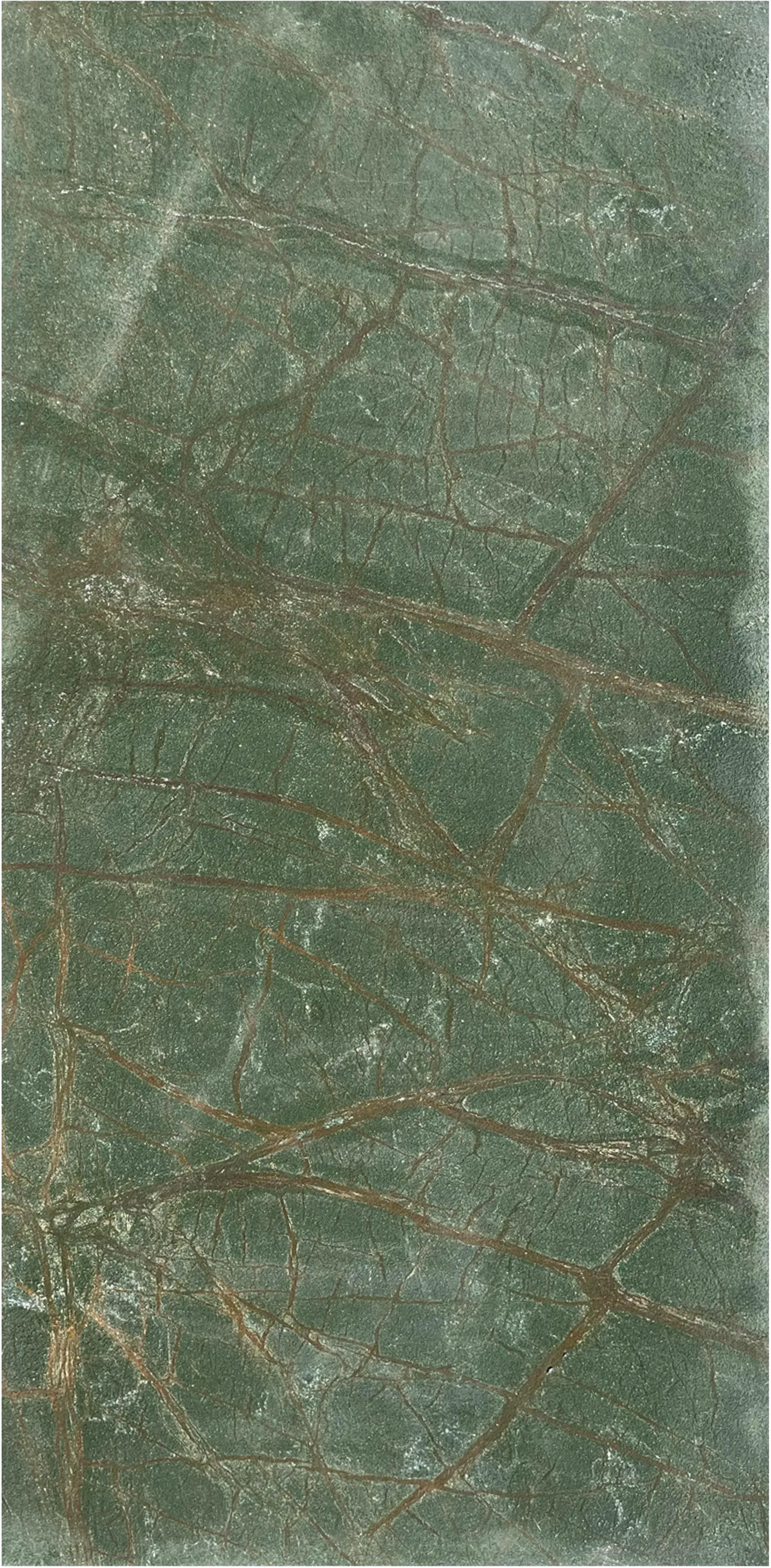 Rainforest Green